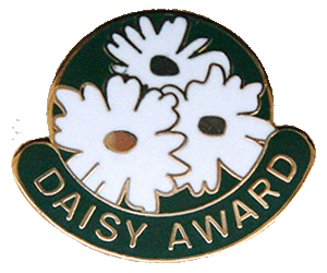 Daisy Award Daisy Award